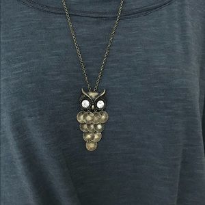 Gorgeous Owl Necklace. Adjustable chain length.